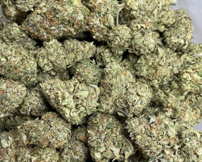 PINK MOONLIGHT (MEGA GAS) (BULK ONLY) - Image 2